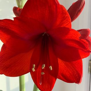 Profile Picture of Nancy Burdeniuk (@nancyburdeniuk) on Instagram