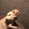 Profile Picture of Justin Epp (@justin.epp.58) on Facebook