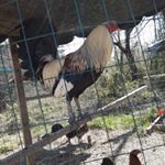 Profile Picture of Carl Turner (@carl.turner.7399786) on Instagram