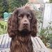 Profile Picture of Steve Maines (@stevejmaines) on Pinterest