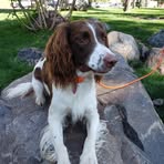 Barbara Billinger - Facebook Profile Picture of Barbara Billinger (@barbara.billinger.980) on Facebook