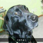 Profile Picture of Dazey May Jacobus (@dazey_mazey) on Instagram