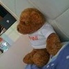 Profile Picture of Michael Chon (@31425640713) on Tiktok