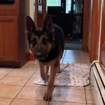 Profile Picture of Joey O'Connell (@joey.o.connell.151192) on Facebook