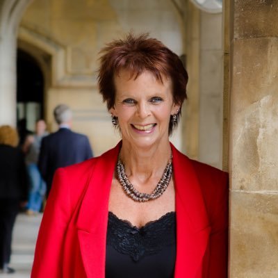 Profile Picture of Rt Hon Anne Milton (@AnneMilton) on Twitter