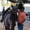 Profile Picture of chadneal8580 (@@chadneal8580) on Tiktok