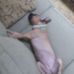 Profile Picture of Robert Ostrander (@robert.ostrander.184) on Facebook