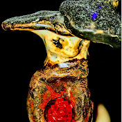 Profile Picture of A Clay Mushroom With A Beret (@aclaymushroomwithaberet7084) on Youtube