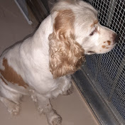 Profile Picture of Terry Wong (@TerryWong-h2o) on Youtube