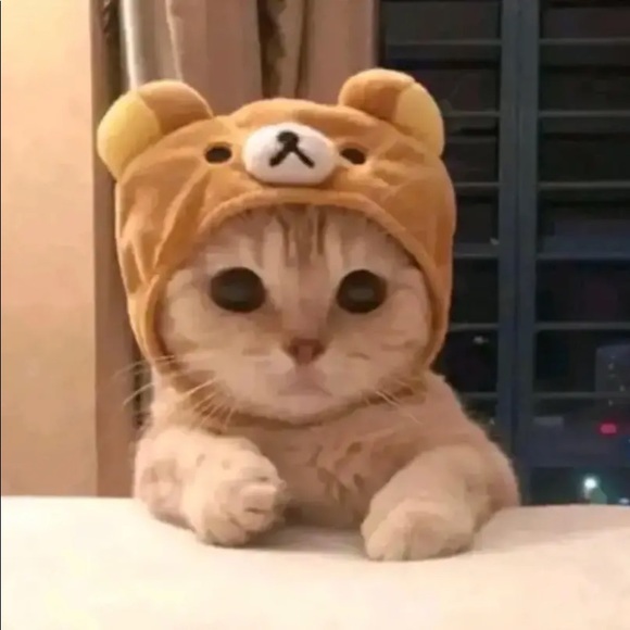 Profile Picture of Samuel Mcmoore (@samuelmcmoore) on Poshmark