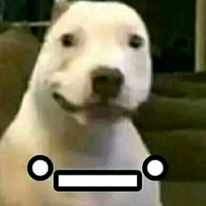 Profile Picture of elpajaslocasxd (@brandontoledo29) on Tiktok