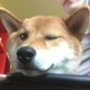 Profile Picture of Jimmy Spencer (JimLi) (@jimmy.spencer.90) on Facebook