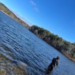 Profile Picture of Michael O’Dell (@michaelodelll) on Instagram