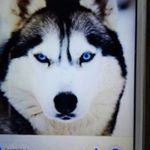 Profile Picture of Sonia Kempfer (@kempfersonia) on Instagram