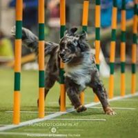 Profile Picture of Thomas Riegler (@tom_riegler) on Pinterest