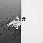 Profile Picture of Chencheng (@chencheng_lion) on Instagram