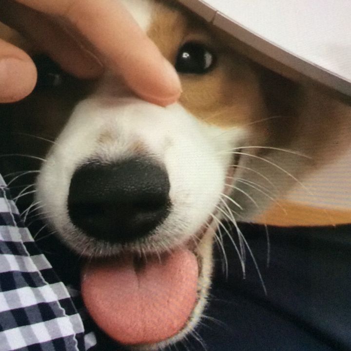 Profile Picture of TracyFy (@tracyzek0y1) on Tiktok