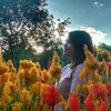 Profile Picture of allison swift (@@henaswift) on Tiktok