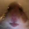 Profile Picture of Sharon Conneally (@@mincraftboy0) on Tiktok