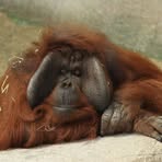 Keith Kanak - Facebook Profile Picture of Keith Kanak (@keith.kanak.96) on Facebook