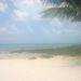 Profile Picture of Marcia Garcia (@marciagarcia) on Pinterest