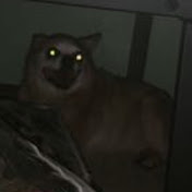 Profile Picture of Alyssa Storkamp (@alyssastorkamp142) on Youtube