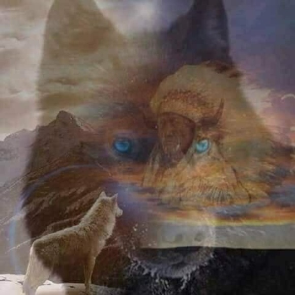 Profile Picture of Roberta Tesney (@rltesney) on Poshmark