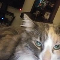 Profile Picture of Sally Stricker Johnston (@StrickerSally) on Twitter