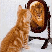 Profile Picture of Michael Sibley (@michaelsibley8792) on Youtube