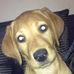 Profile Picture of Jenna Murphy (@Jenna-Murphy) on Facebook
