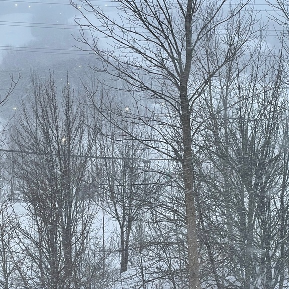 Profile Picture of Joanne Clark (@joque) on Poshmark