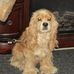 Profile Picture of Lucille Sherman (@lucille.sherman.9) on Facebook