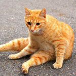 Profile Picture of Eki Kuo (@艾克郭) on Flickr