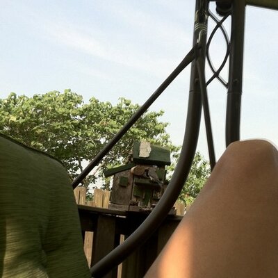 Profile Picture of Audrey Cadle (@flyingfree516) on Twitter