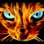 Profile Picture of Debbie Swarts (@dlghjs) on Instagram