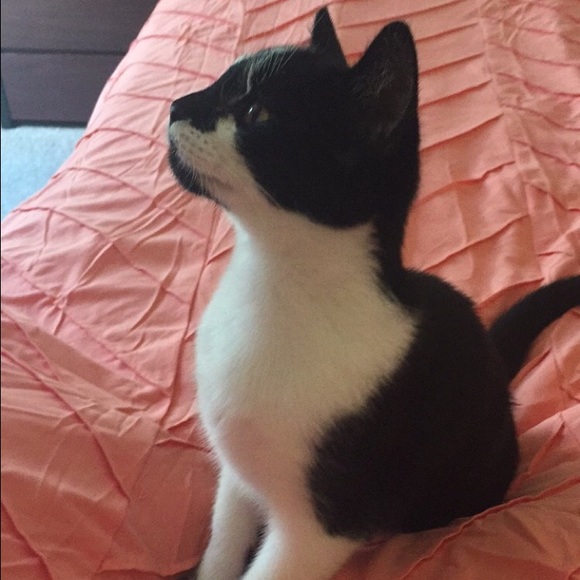 Profile Picture of Katie Wadas (@wadask) on Poshmark