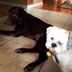 Profile Picture of Tommy Jeter (@tommyandjeter) on Instagram
