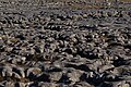 Profile Picture of Limestone pavementon Wikipedia