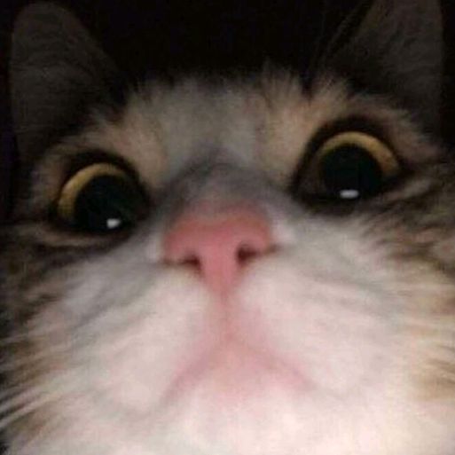 Profile Picture of andrespell (@andrespel13) on Tiktok