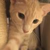 Profile Picture of artie (@artemiswrld) on Tiktok