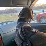 Profile Picture of Joe Ricketts (@joeyricketts27) on Instagram