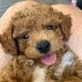Profile Picture of Sean Berndt (@sean.berndt.3) on Facebook