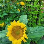 Profile Picture of Joanne Bloxam (@Joanne-Bloxam) on Facebook