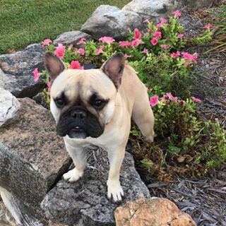 Mark Bruckerhoff - Facebook Profile Picture of Mark Bruckerhoff (@mark.bruckerhoff.92) on Facebook