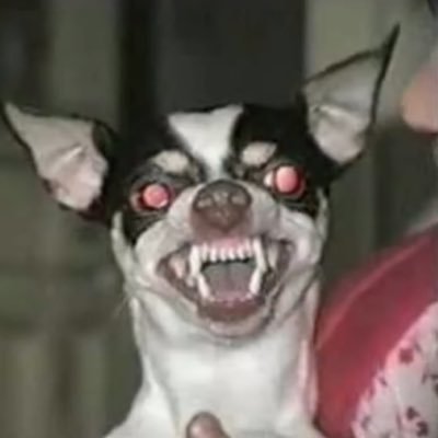 Profile Picture of Sacul Duabiht (@MrMockridge) on Twitter