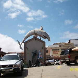 Profile Picture of Cesar Osorio (@253836850) on Myspace