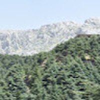 Profile Picture of Ali Akkache (@ali-akkache-1) on Quora