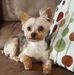 Profile Picture of Cathy Schultz (@cathy.schultz.75) on Facebook