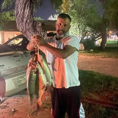 Profile Picture of gabrielwilkins6 (@gabrielwilkins6) on Tiktok