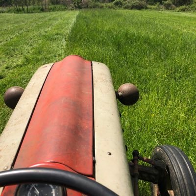 Profile Picture of Andrew Stoker (@74stoker) on Twitter